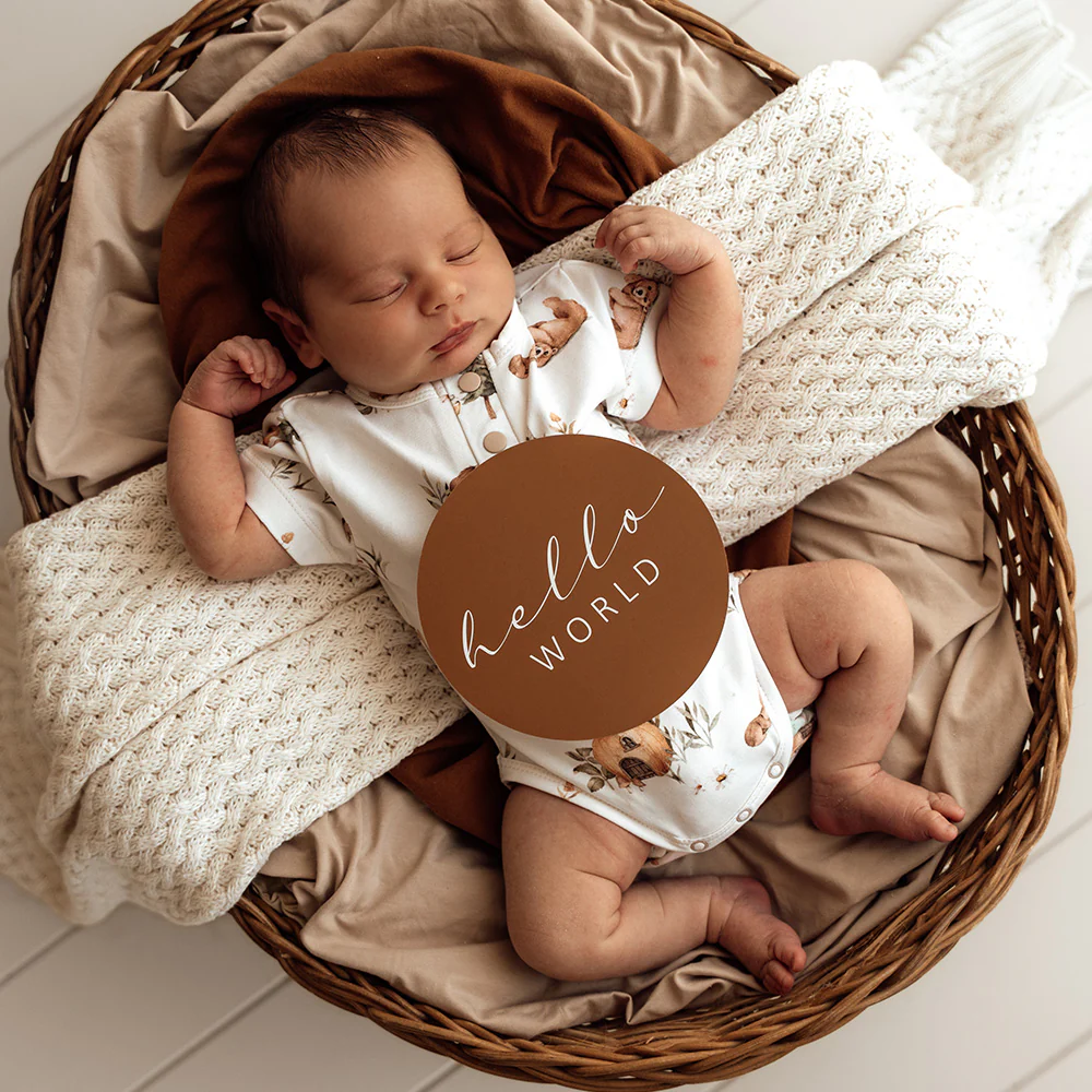 Bears Short Sleeve Organic Bodysuit - Image 5