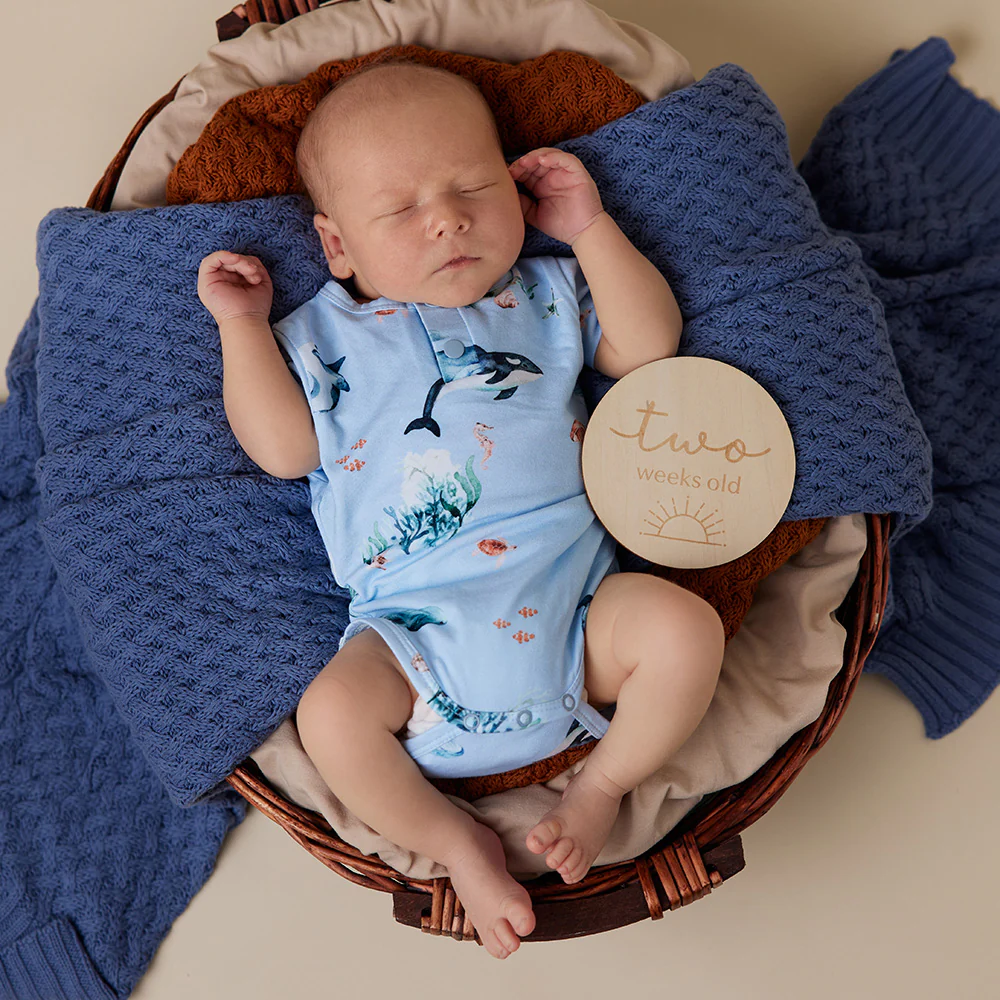 Blue Ocean Short Sleeve Organic Bodysuit - Image 8
