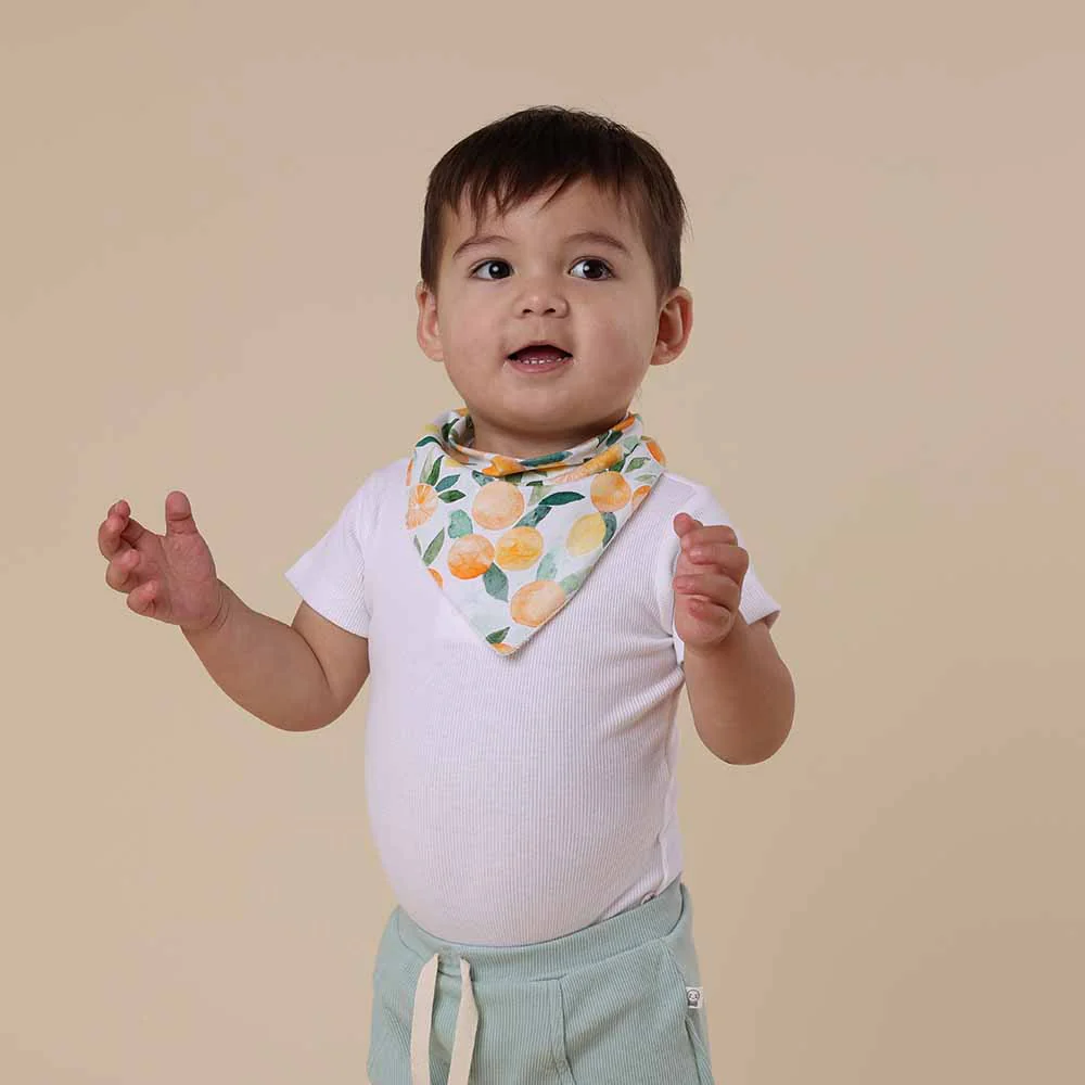 Citrus Squeeze Organic Dribble Bib - Image 6