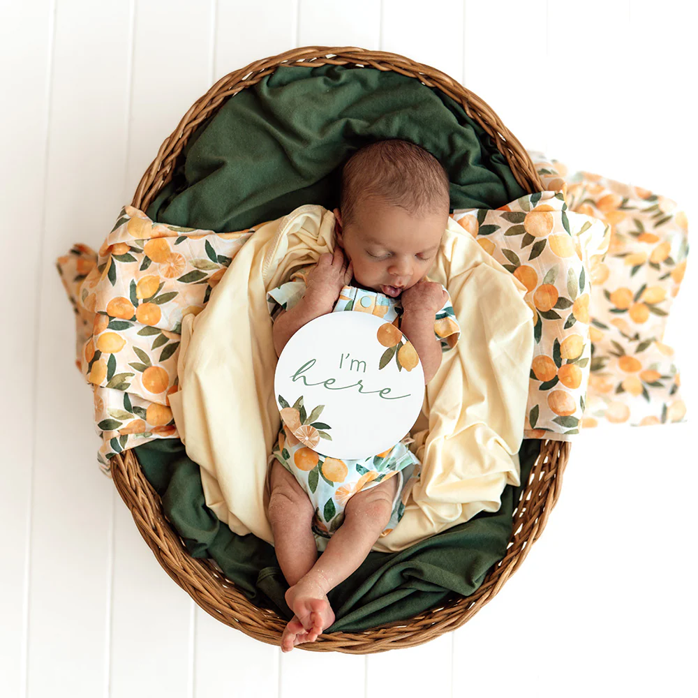 Citrus Squeeze & Peach Reversible Milestone Cards - Image 8
