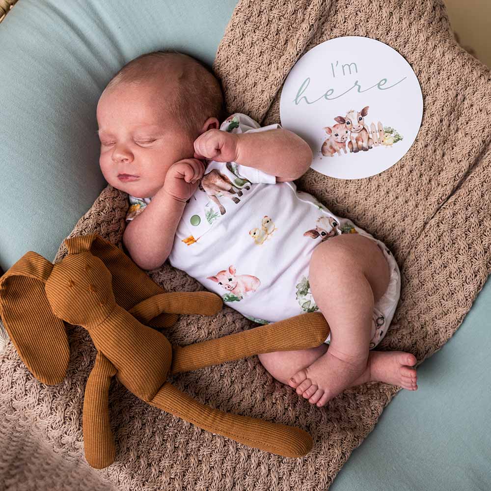 Farm Short Sleeve Organic Bodysuit - Image 7