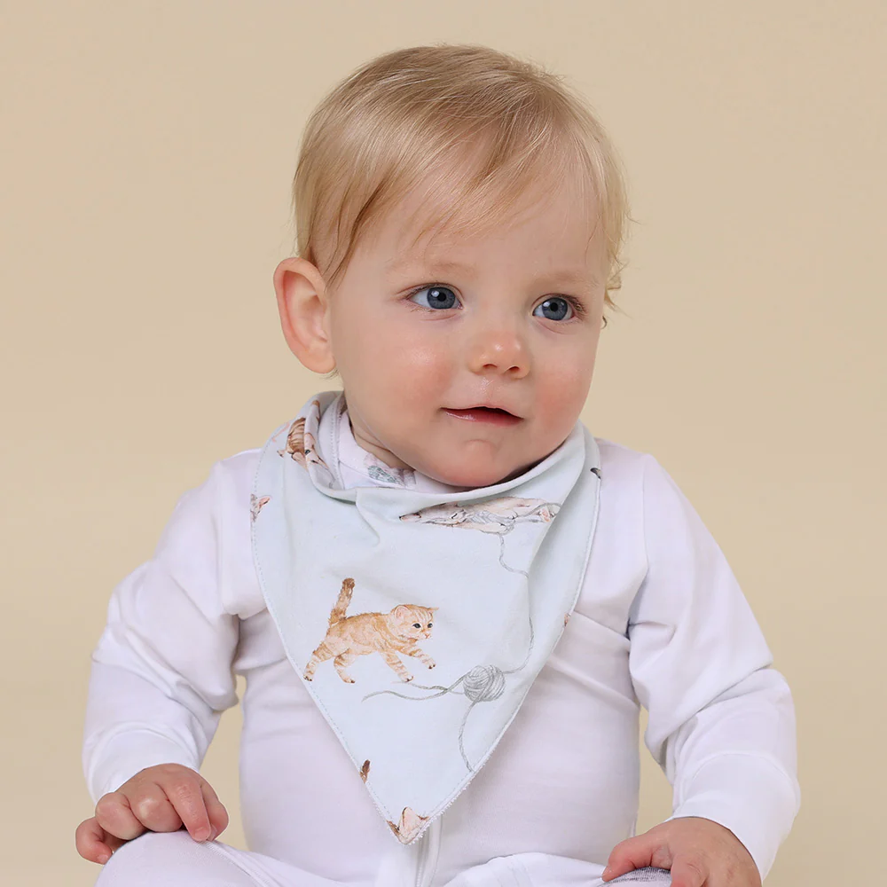 Kittens Organic Dribble Bib - Image 4