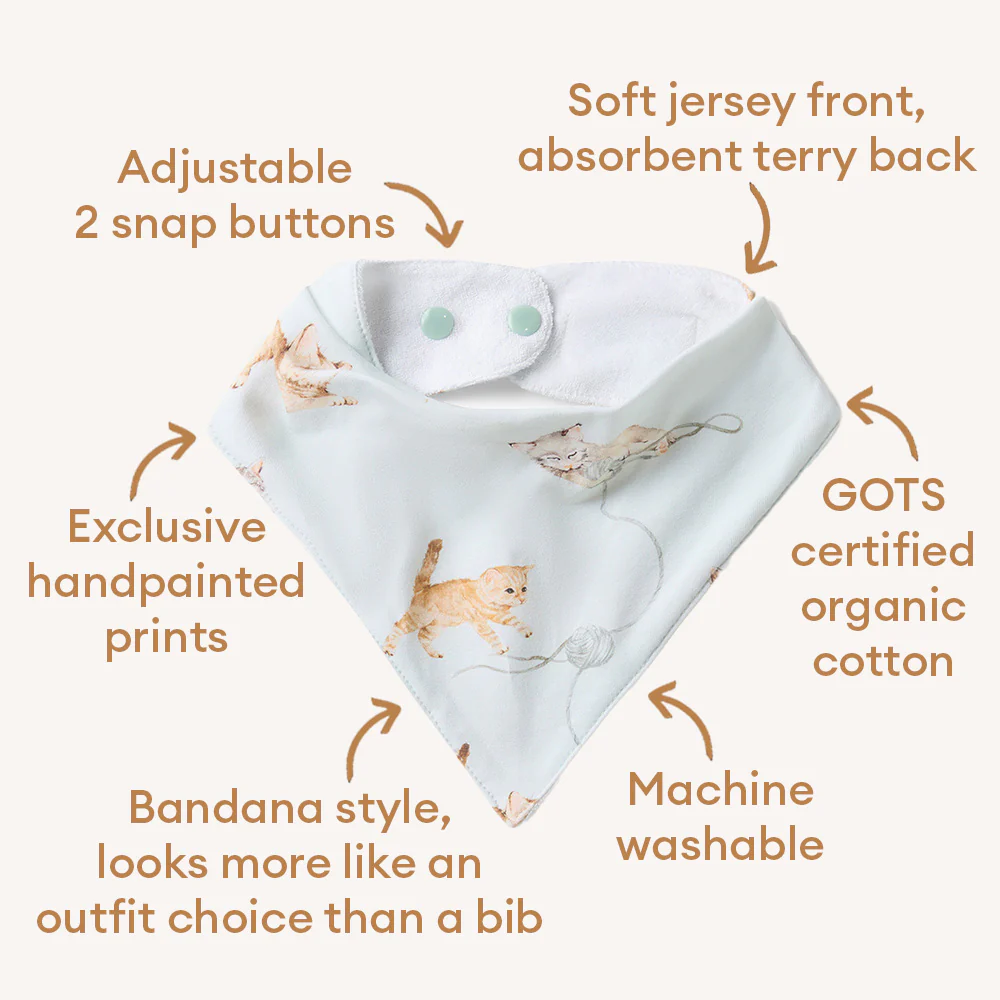 Kittens Organic Dribble Bib - Image 5