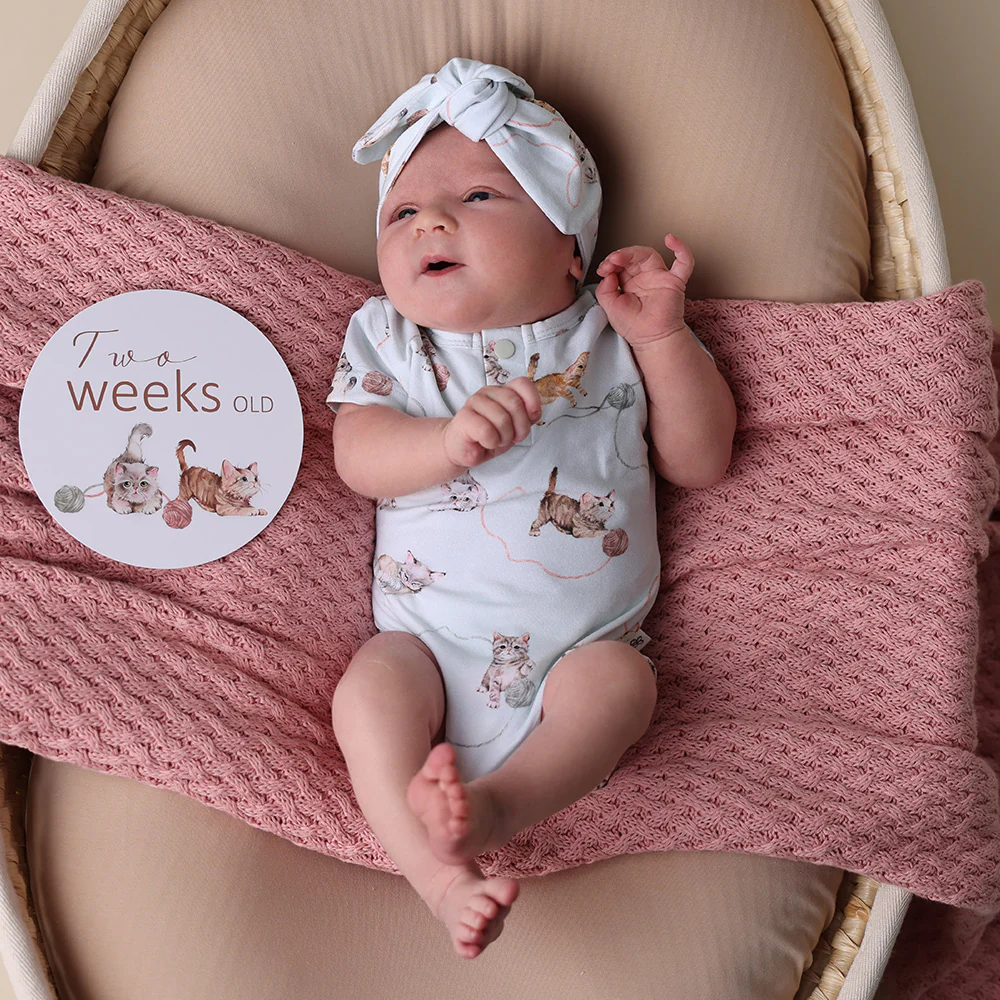 Kittens Short Sleeve Organic Bodysuit - Image 3