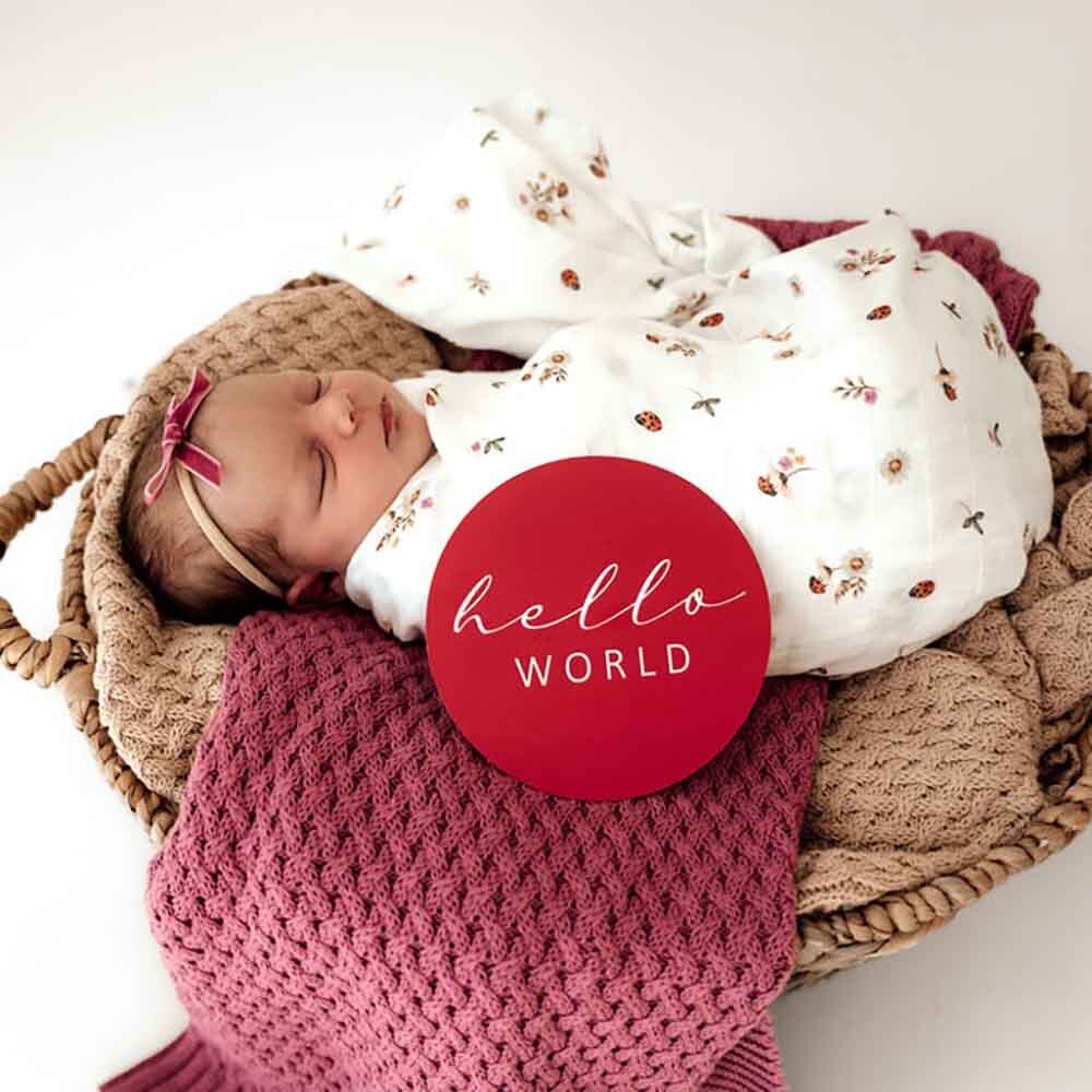 Ladybug Organic Muslin Wrap - Image 5