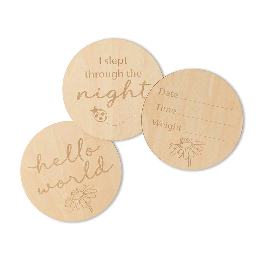 Ladybug Wooden Milestone Cards - Image 3