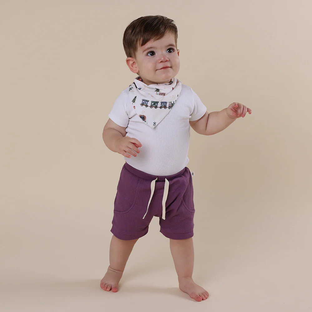 Mulberry Organic Shorts - Image 5