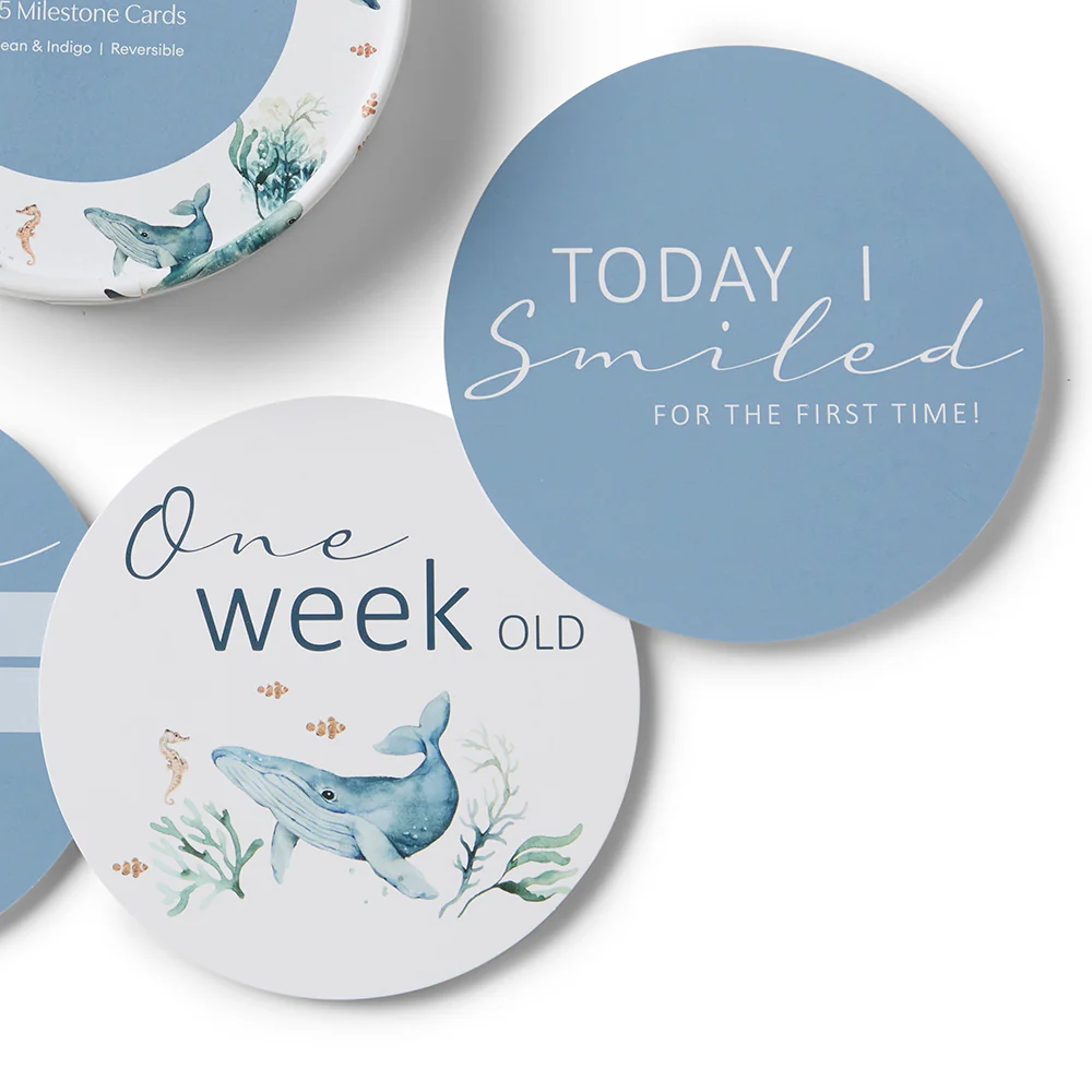 Ocean & Indigo Reversible Milestone Cards - Image 4