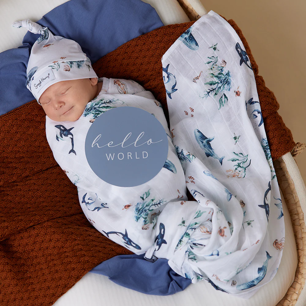 Ocean & Indigo Reversible Milestone Cards - Image 5