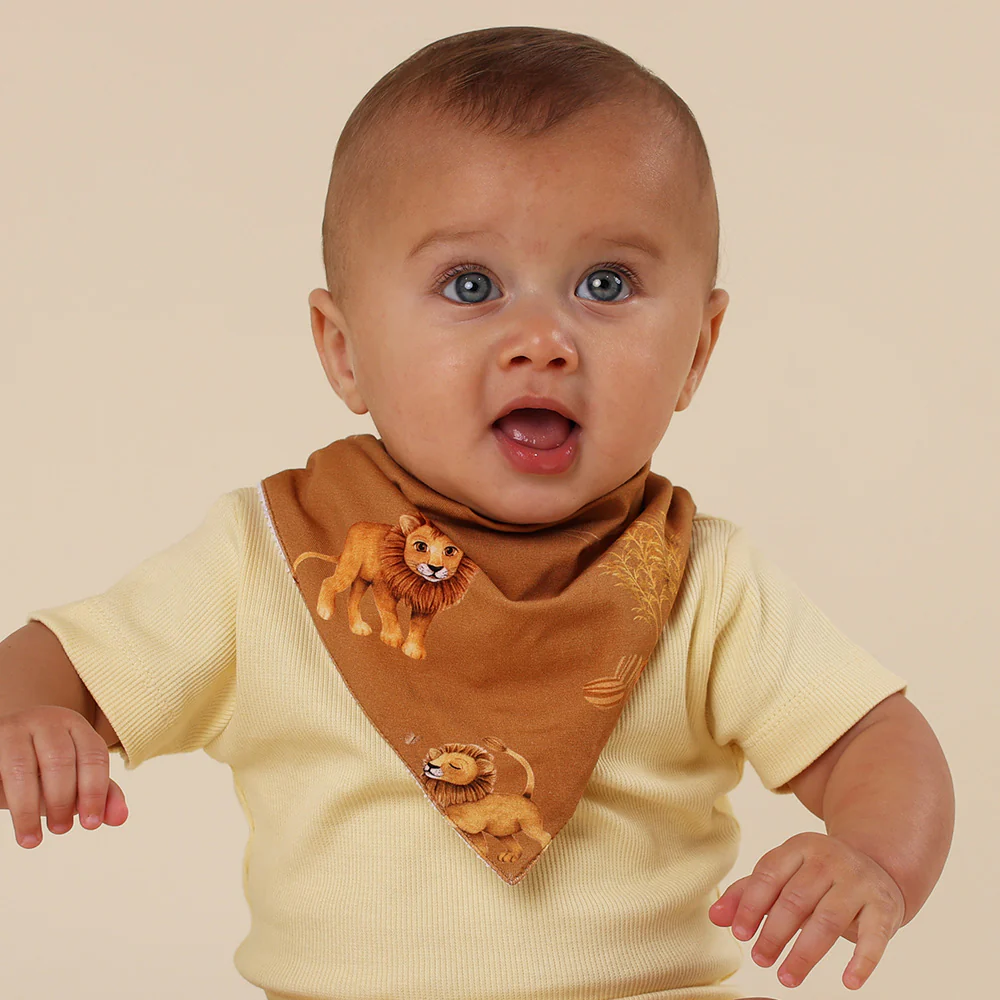 Roar Organic Dribble Bib - Image 3