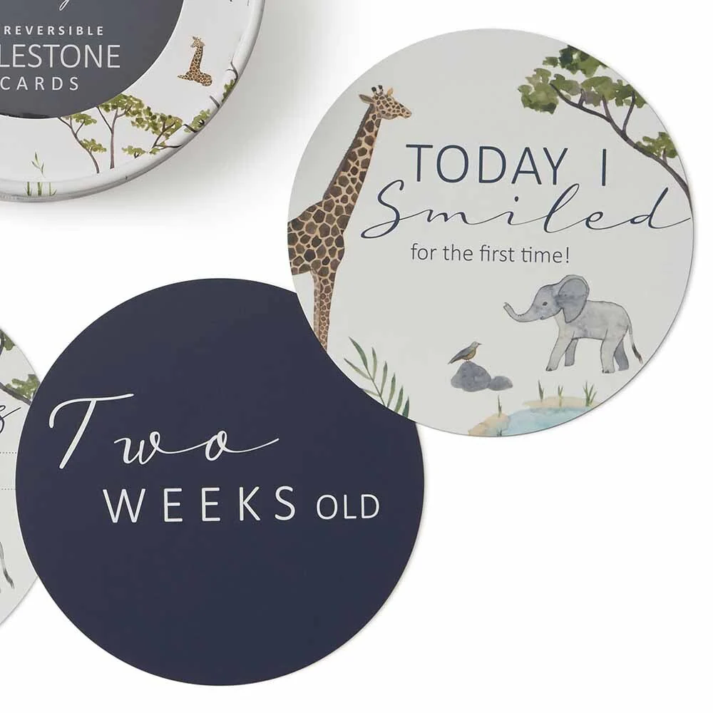 Safari & Navy Reversible Milestone Cards - Image 3