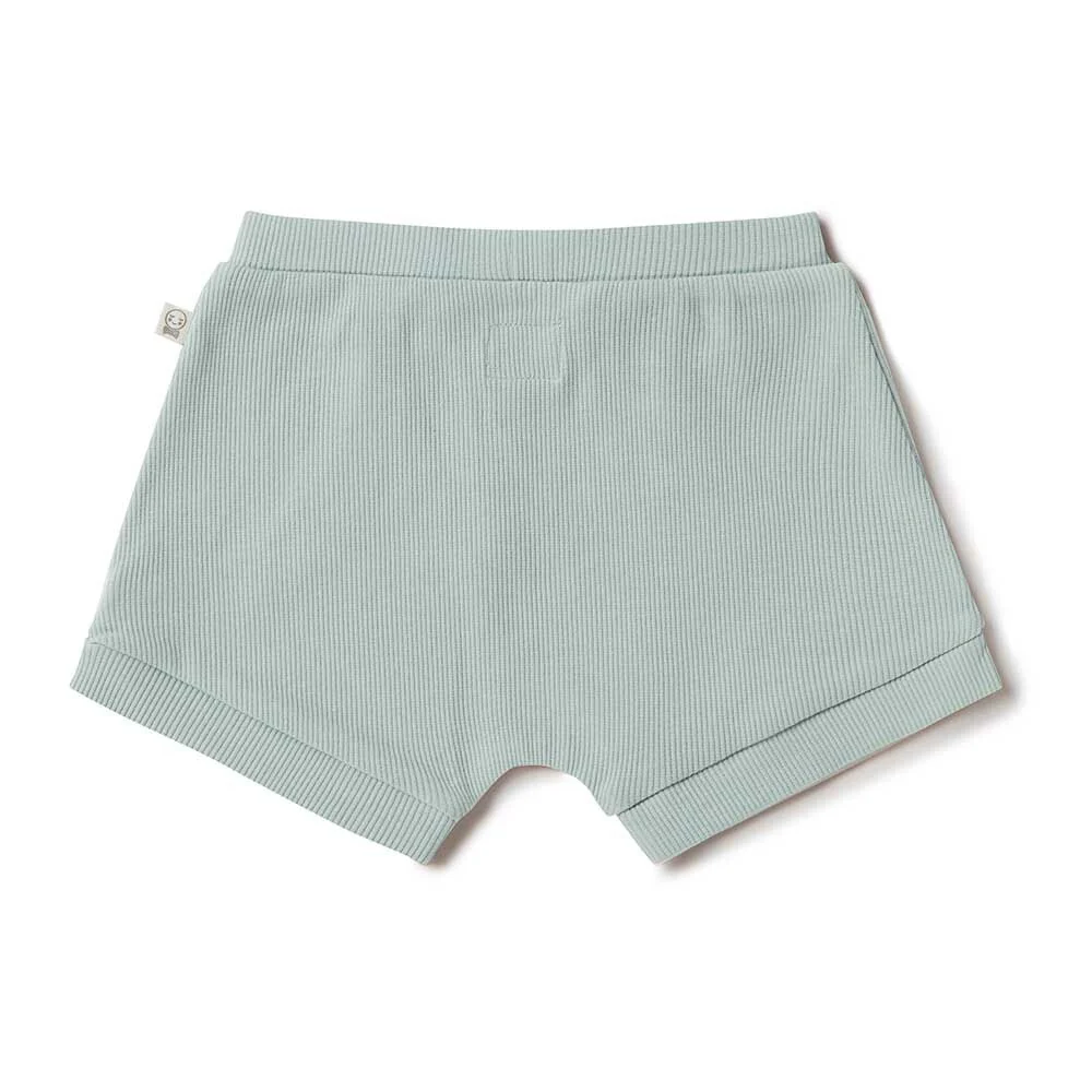 Sage Organic Shorts - Image 12