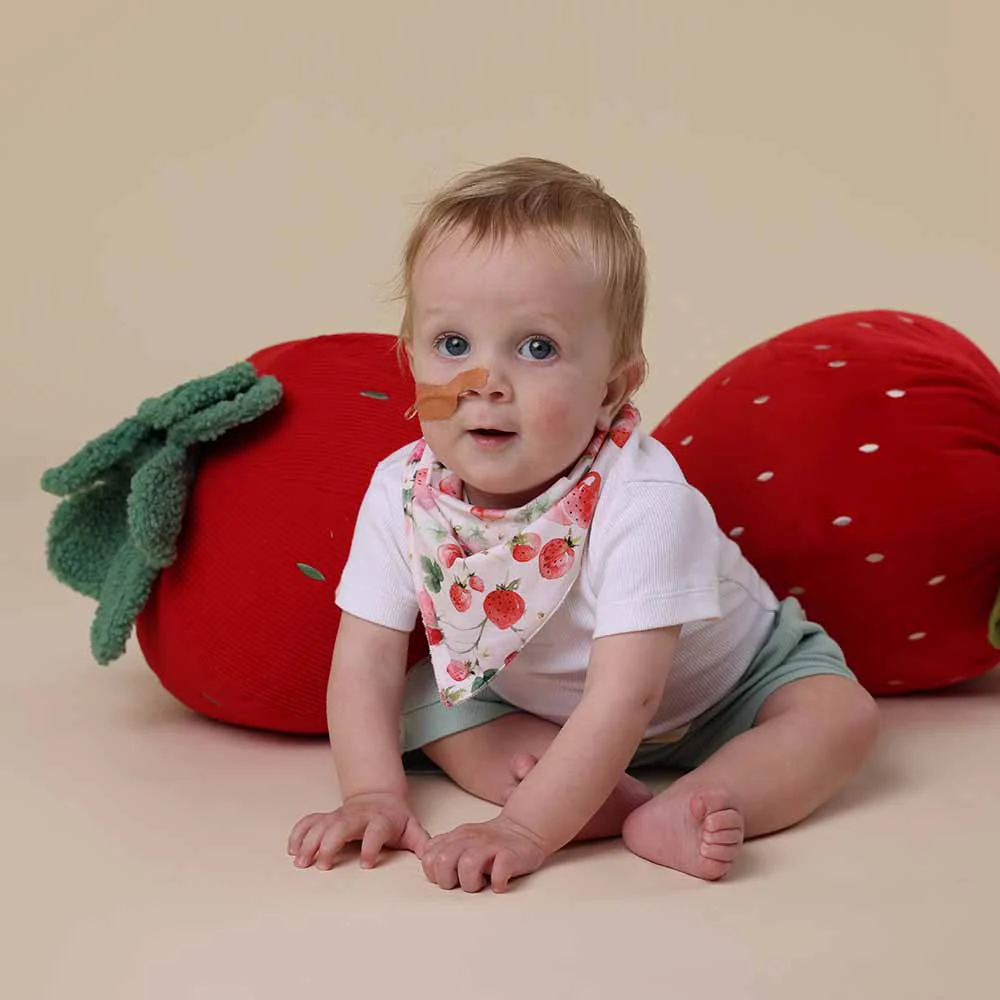 Strawberry Organic Dribble Bib - Image 3