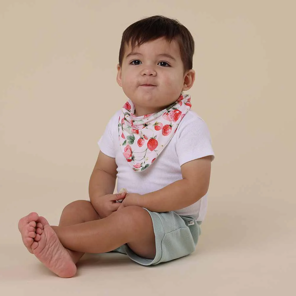 Strawberry Organic Dribble Bib - Image 5