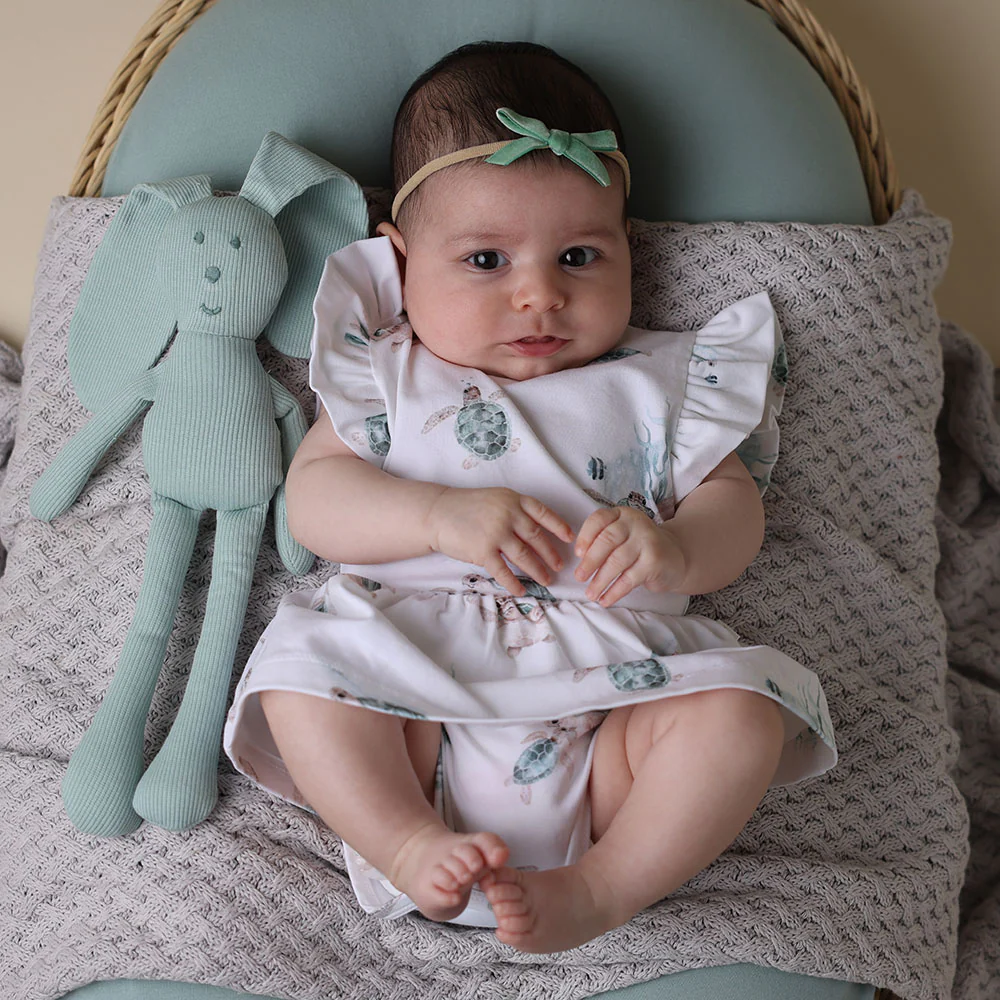 Turtle Short Sleeve Organic Dress - Image 10